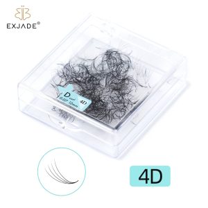 4D  premade loose fans  (500 Fans)